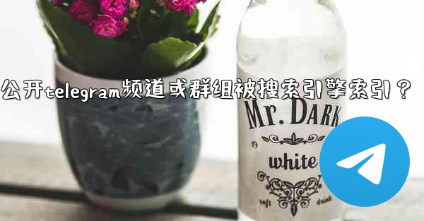 如何防止我的公開Telegram頻道或群組被搜索引擎索引？、如何防止我的公开telegram频道或群组被搜索引擎索引？