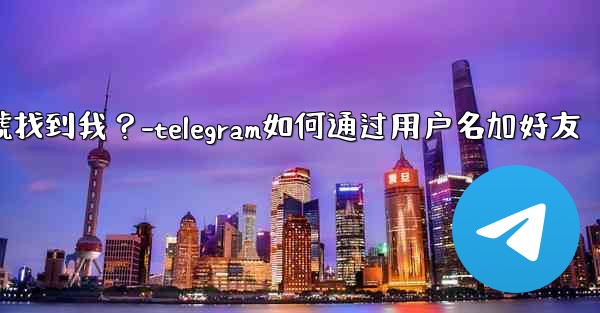如何設置誰可以通過Telegram手機號找到我？-telegram如何通过用户名加好友