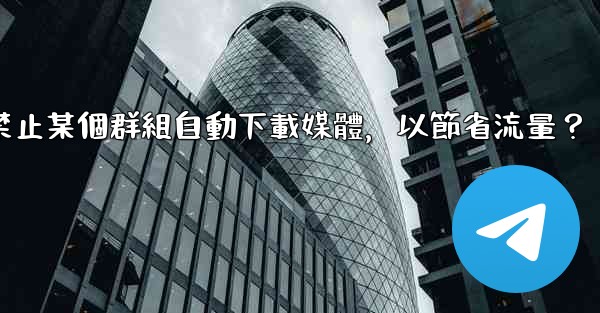 Telegram如何禁止某個群組自動下載媒體，以節省流量？
