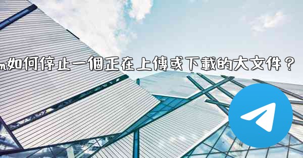 Telegram如何停止一個正在上傳或下載的大文件？