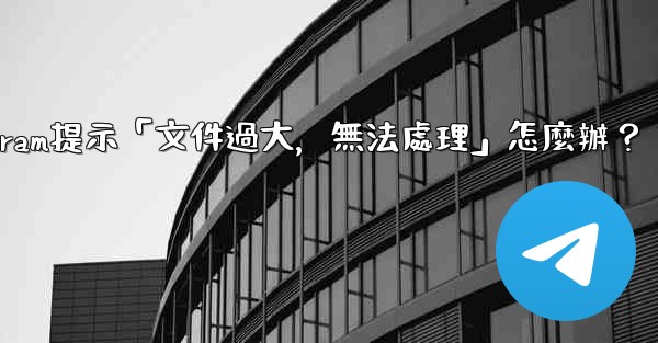 Telegram提示「文件過大，無法處理」怎麼辦？