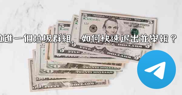 電報我被拉進一個垃圾群組，如何快速退出並舉報？