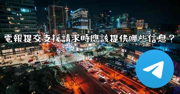 電報提交支援請求時應該提供哪些信息？