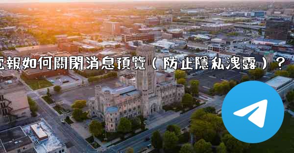 電報如何關閉消息預覽（防止隱私洩露）？