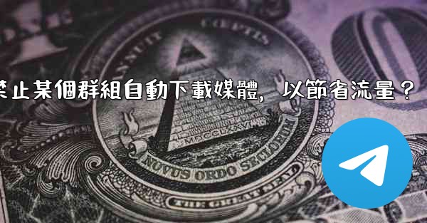 電報如何禁止某個群組自動下載媒體，以節省流量？