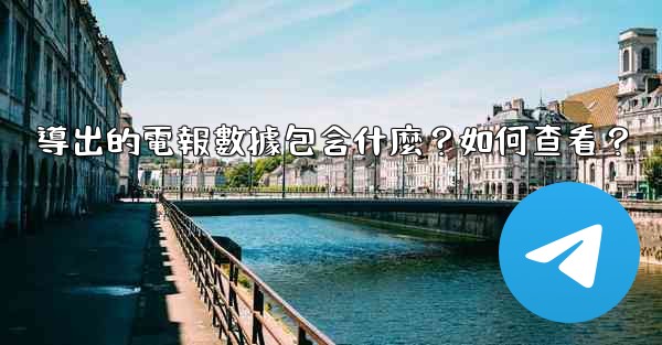 導出的電報數據包含什麼？如何查看？