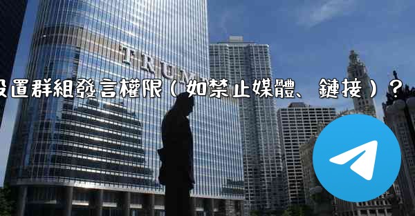 電報如何設置群組發言權限（如禁止媒體、鏈接）？