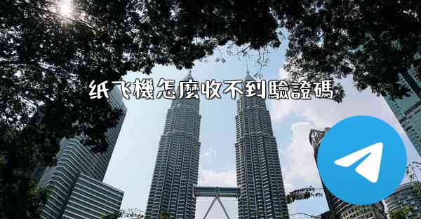 纸飞機怎麼收不到驗證碼