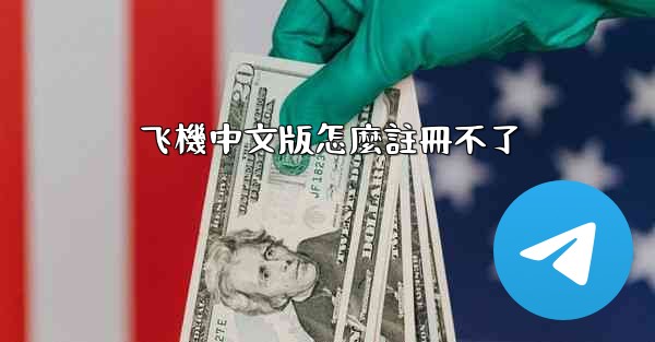 飞機中文版怎麼註冊不了