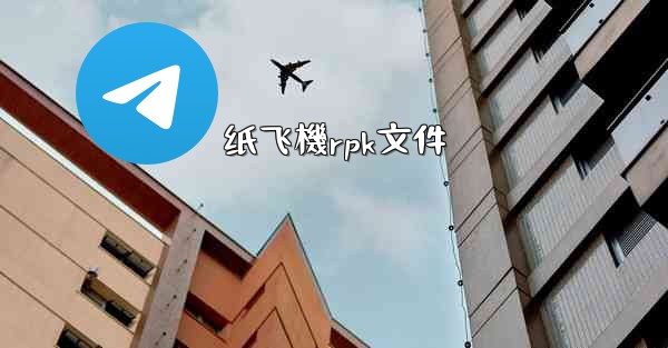 纸飞機rpk文件