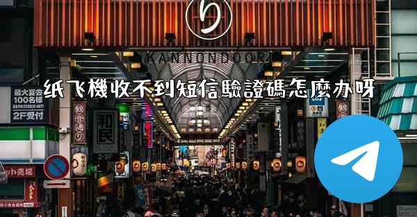 纸飞機收不到短信驗證碼怎麼办呀