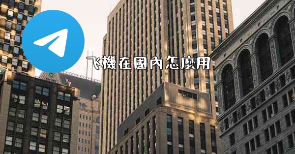 飞機在國內怎麼用