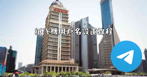 纸飞機用戶名設置教程