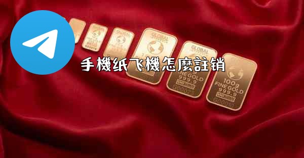 手機纸飞機怎麼註销