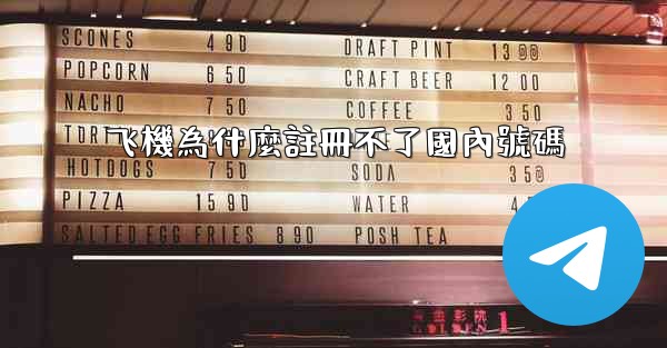 飞機為什麼註冊不了國內號碼