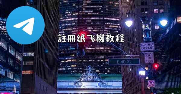 註冊纸飞機教程