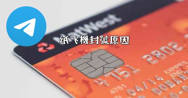 纸飞機封號原因