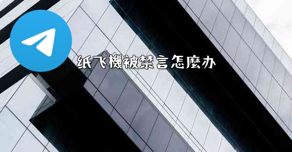 纸飞機被禁言怎麼办