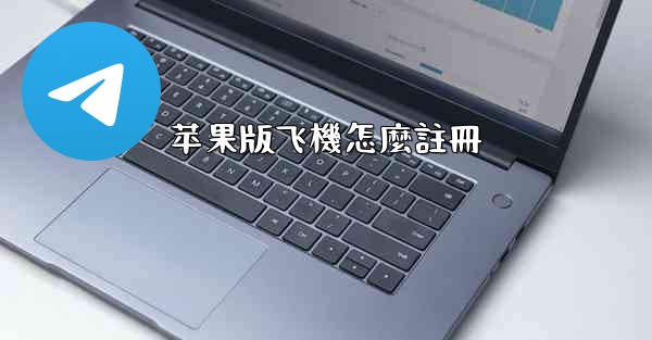 苹果版飞機怎麼註冊