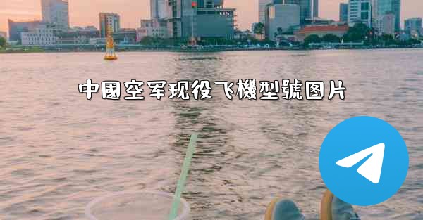 中國空军现役飞機型號图片
