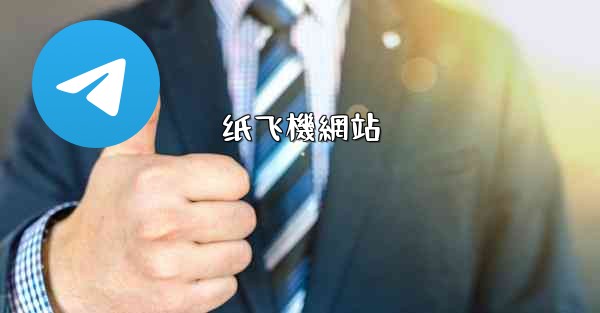 纸飞機網站