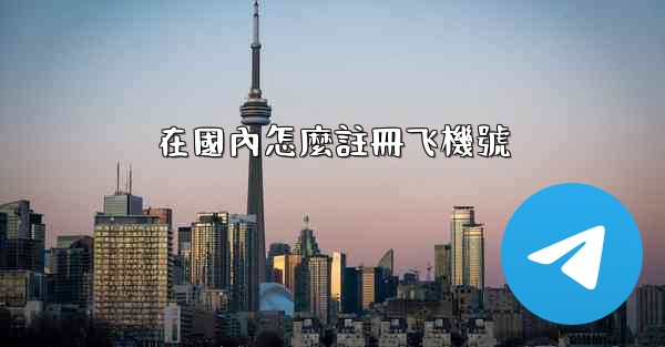 在國內怎麼註冊飞機號