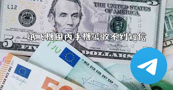 纸飞機國內手機號收不到短信