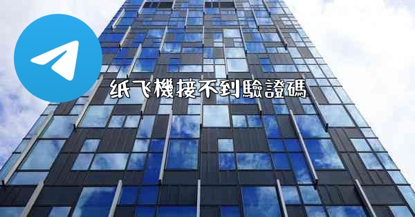 纸飞機接不到驗證碼