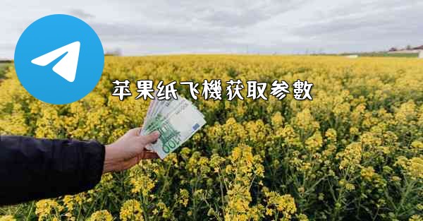 苹果纸飞機获取参數