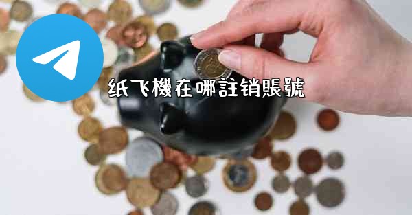 纸飞機在哪註销賬號