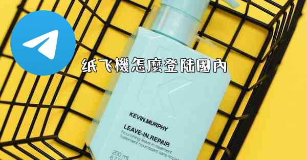 纸飞機怎麼登陆國內