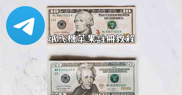 纸飞機苹果註冊教程