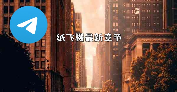 纸飞機最新章节