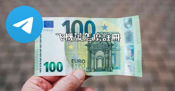 飞機號怎麼註冊