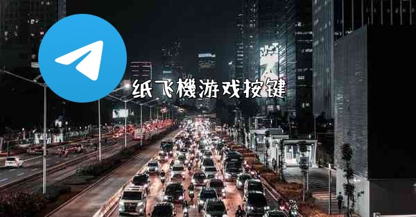 纸飞機游戏按键