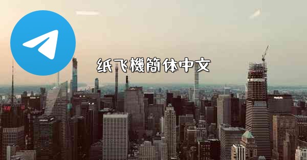 纸飞機簡体中文