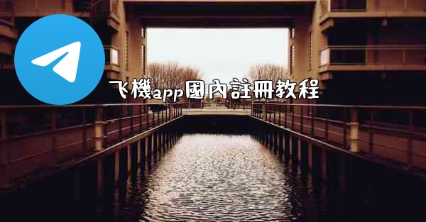 飞機app國內註冊教程