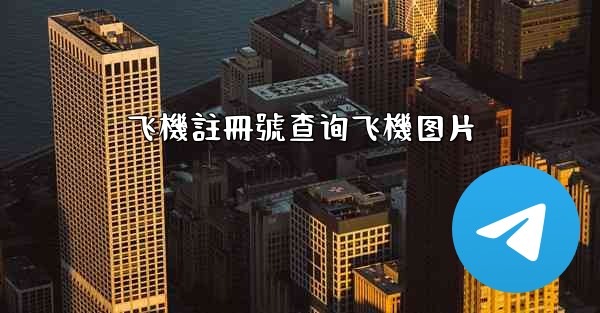 飞機註冊號查询飞機图片