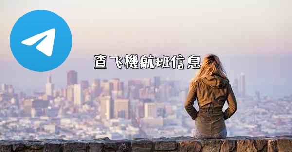 查飞機航班信息