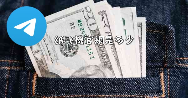 纸飞機官網是多少