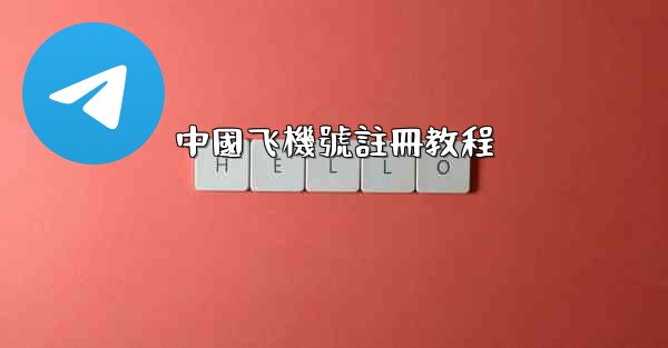 中國飞機號註冊教程