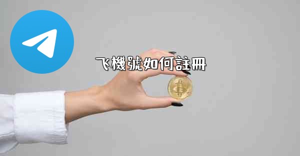 飞機號如何註冊