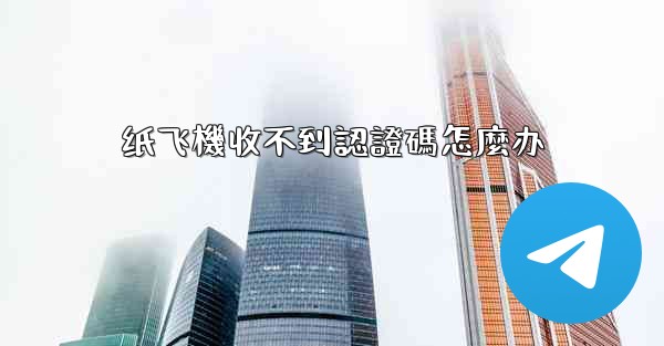 纸飞機收不到認證碼怎麼办