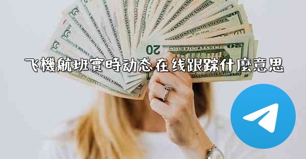 飞機航班實時动态在线跟踪什麼意思