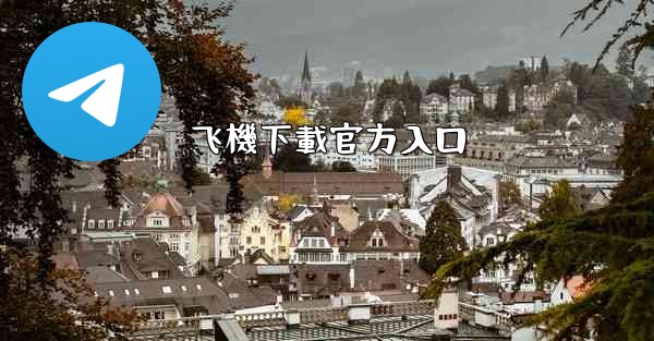 飞機下載官方入口