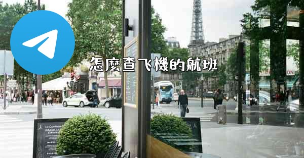 怎麼查飞機的航班