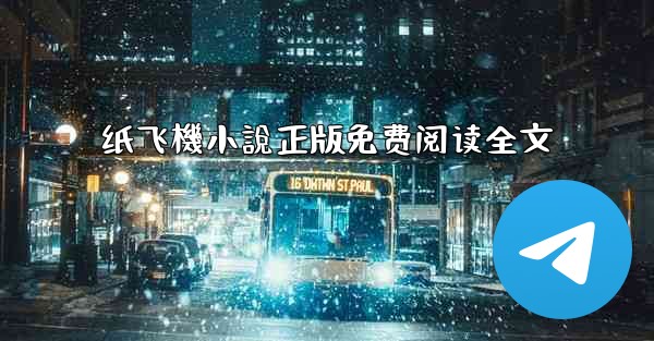 纸飞機小說正版免费阅读全文
