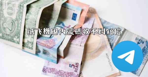 纸飞機國內號碼收不到短信