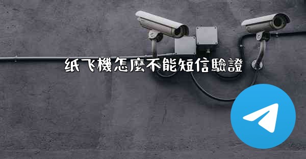 纸飞機怎麼不能短信驗證