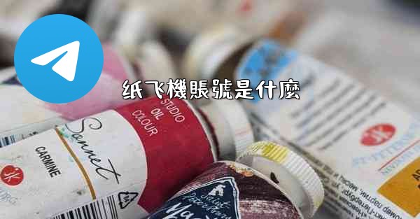 纸飞機賬號是什麼